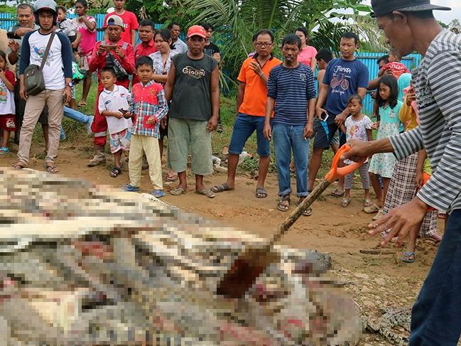 Köylüler yakınlarını yiyen timsahları birer birer öldürdü