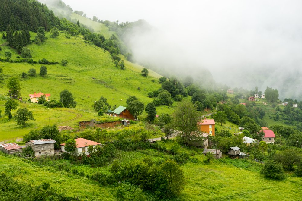 shutterstock_542324341