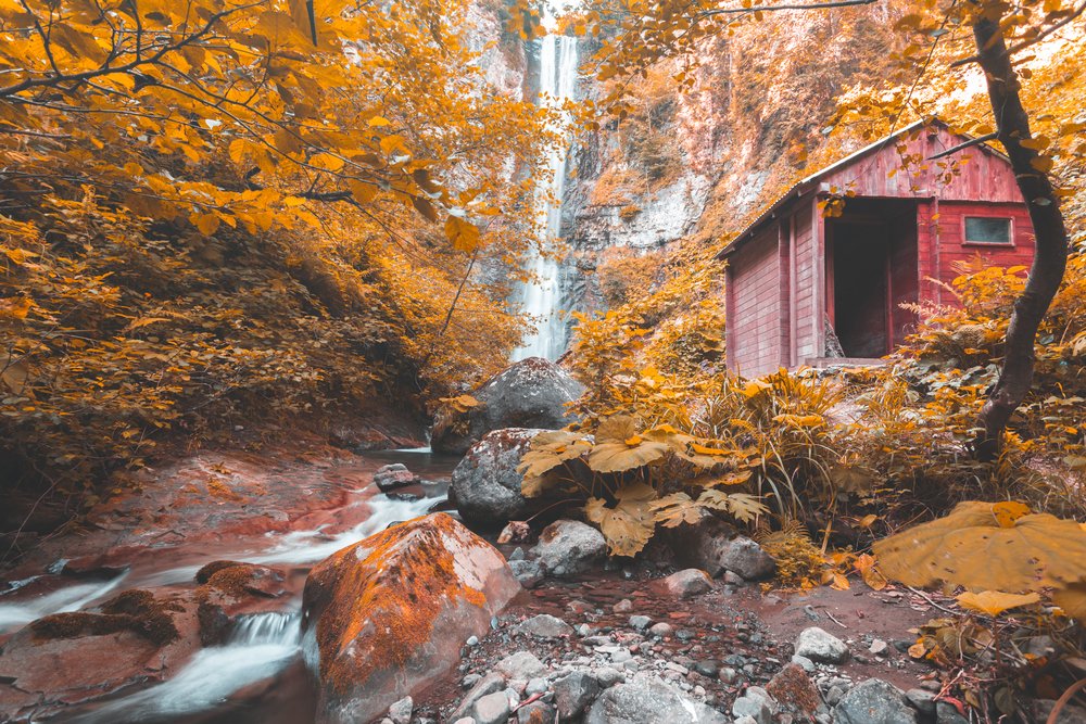 shutterstock_725109331