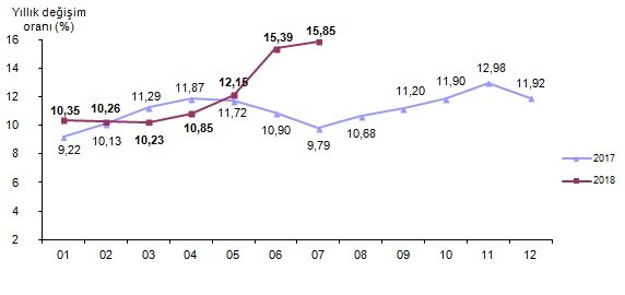 Yıllık enflasyon değişim oranı. Tablo/TÜİK