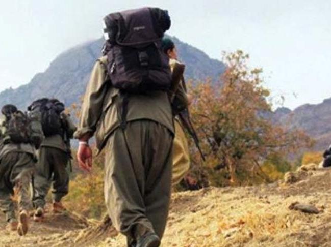 PKK'lı terörist günübirlik evde yakalandı