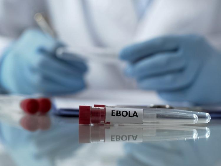 KDC'deki Ebola salgını 17 kişiyi öldürdü
