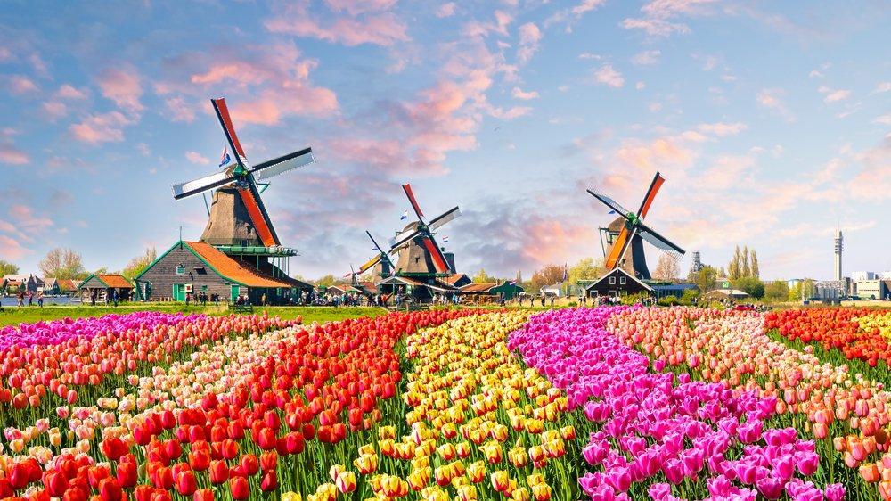 Hollanda gezilecek yerler: Dünyaca ünlü su kanalları ve müzeleri ile Hollanda gezi rehberi...