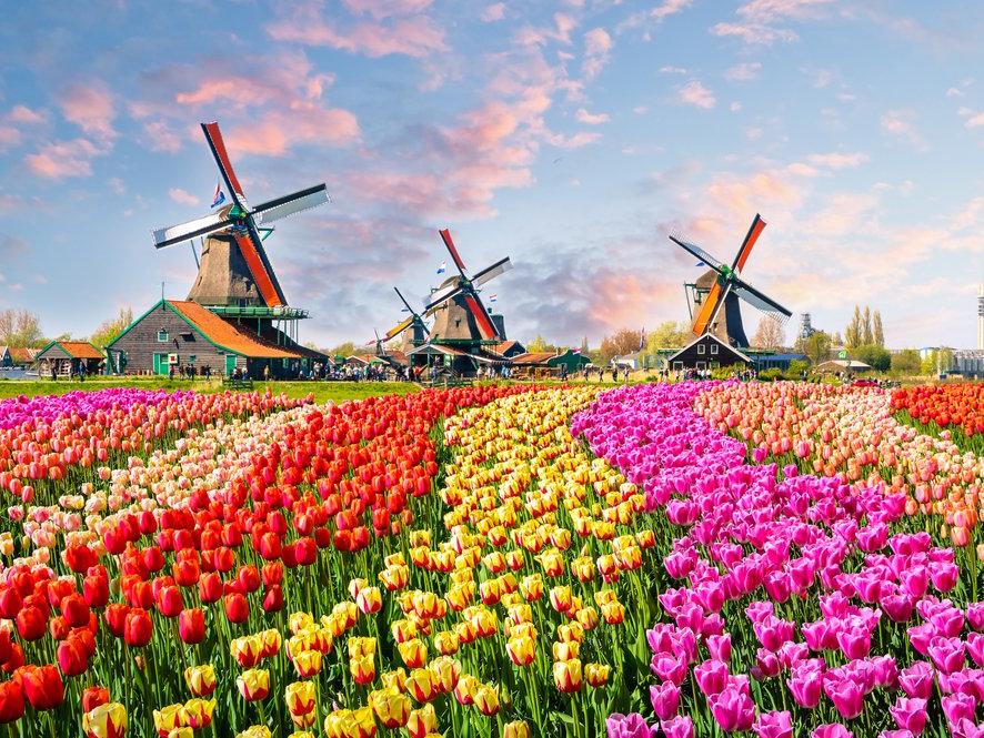 Hollanda gezilecek yerler: Dünyaca ünlü su kanalları ve müzeleri ile Hollanda gezi rehberi...