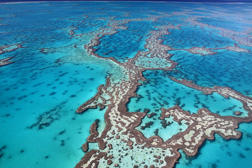Büyük Set Resifi - Foto: Shutterstock