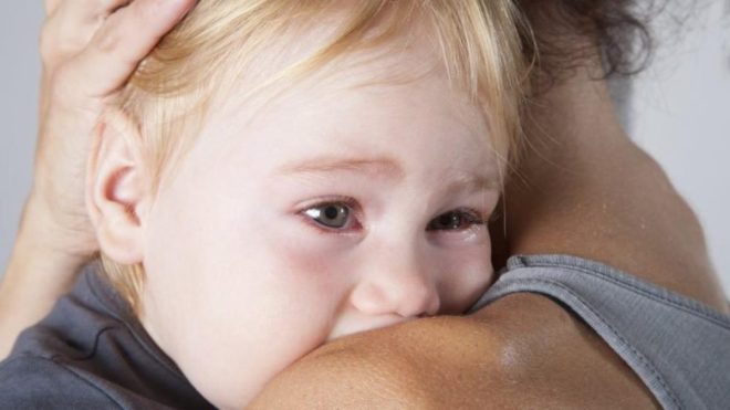 shutterstock_263808545_16_9_1524732762-880x495