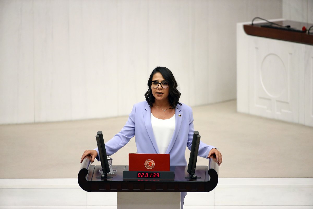 CHP İstanbul Milletvekili Sera Kadıgil