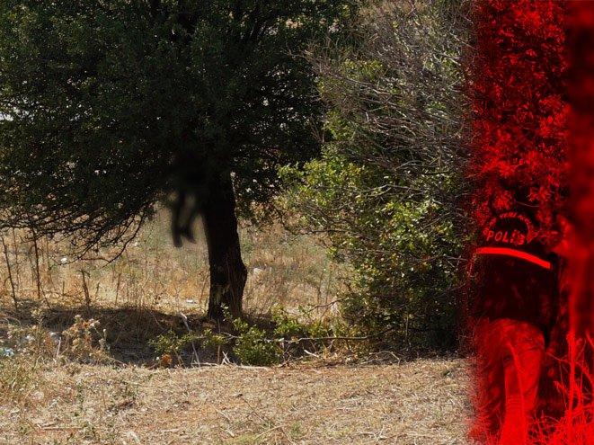 Aydın'da ağaca asılı erkek cesedi bulundu