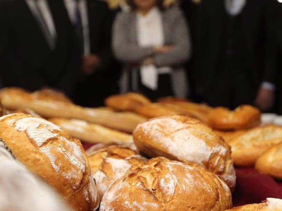 Un ve ekmek fiyatlarındaki artış nasıl önlenir?