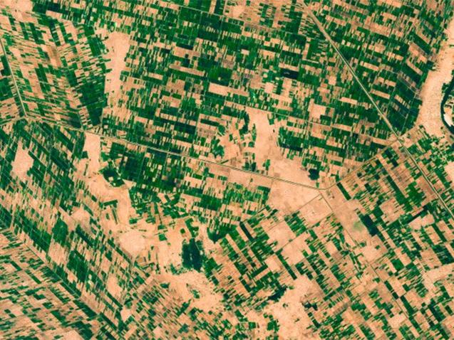 Türkiye Sudan'da devasa bir alanda tarım yapacak