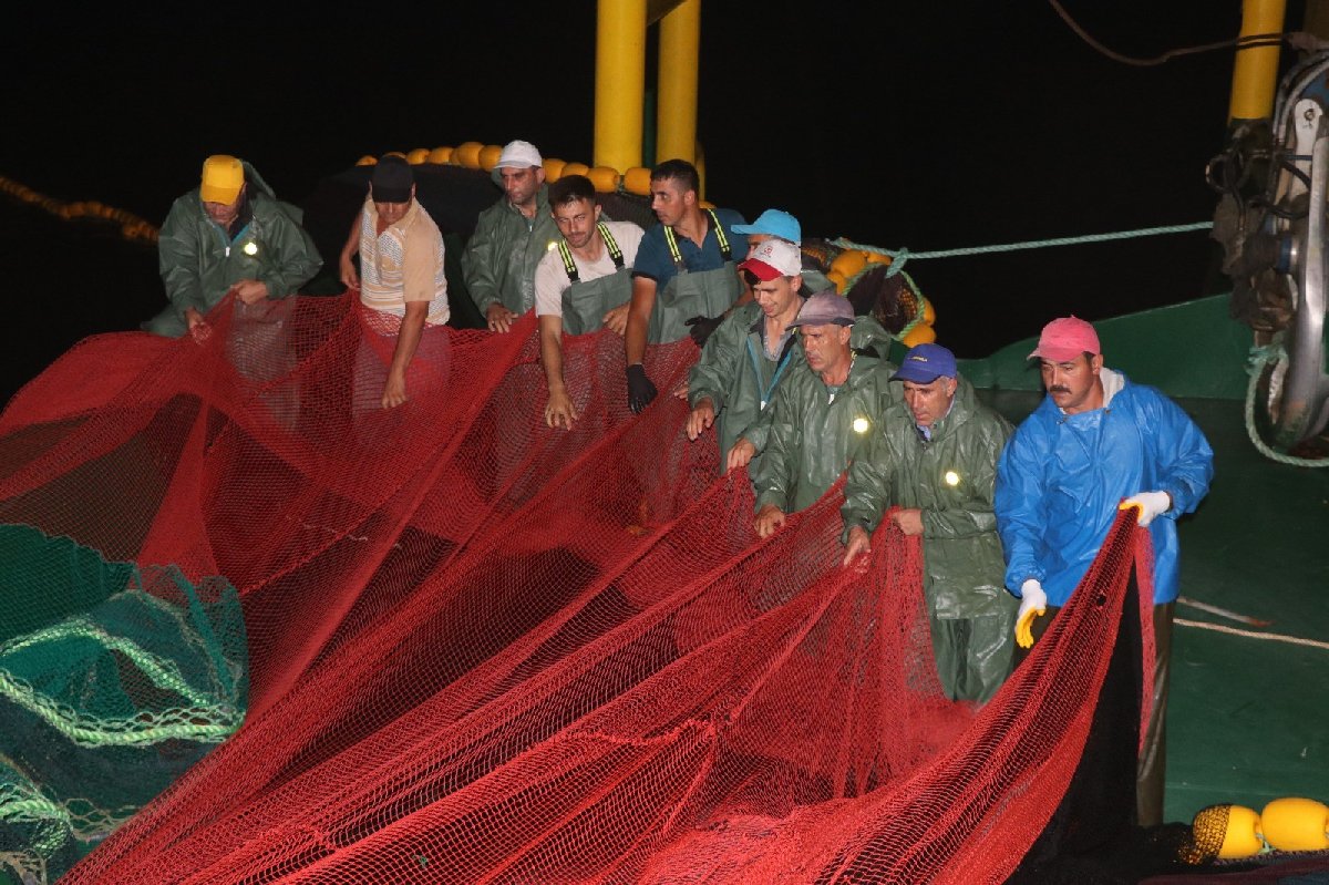 Yalova ve Bursalı balıkçılar beraber ağ attılar. Fotoğraf/İHA
