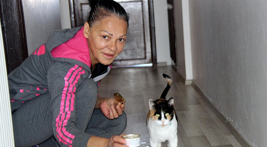 çalıştığı evde kedi beslediği için evden atıldı. Foto: DHA