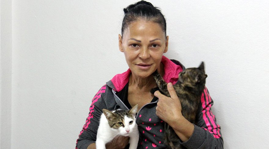 Kedi beslediği ve çalıştığı bahçeli evden atılan Mürvet Taşvur, kiraladığı apartman dairesi sadece 7 kedi götürebildi. Foto: DHA