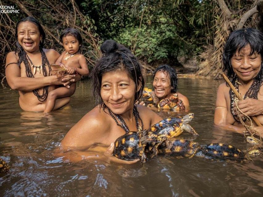 Amazon'da ilk kez görüntülendiler... Kaplumbağa ile yıkanıyorlar