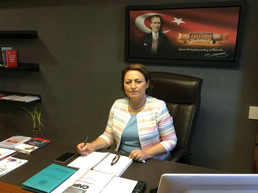 CHP'li Şevkin İçişleri Bakanı'na cinayetleri sordu