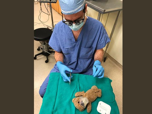 Kanadalı cerrah, oyuncak bir ayıyı ameliyat etti