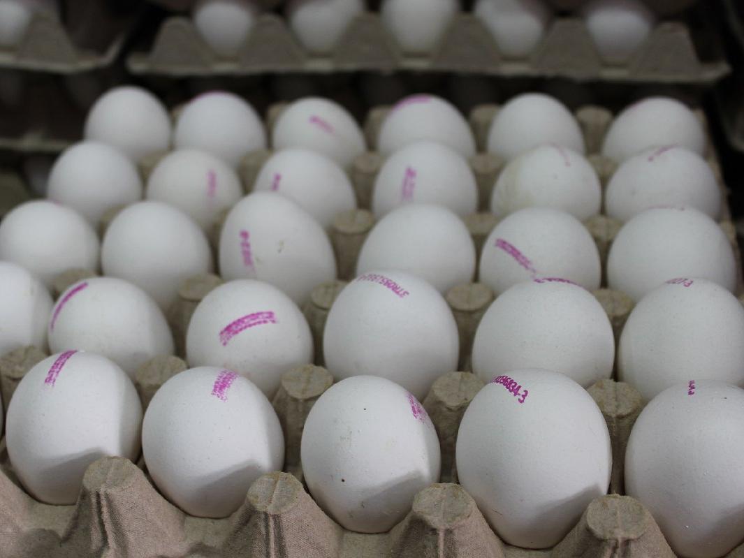 Yumurta üreticilerinden uyarı; 1 aylık yumurta kaldı 
