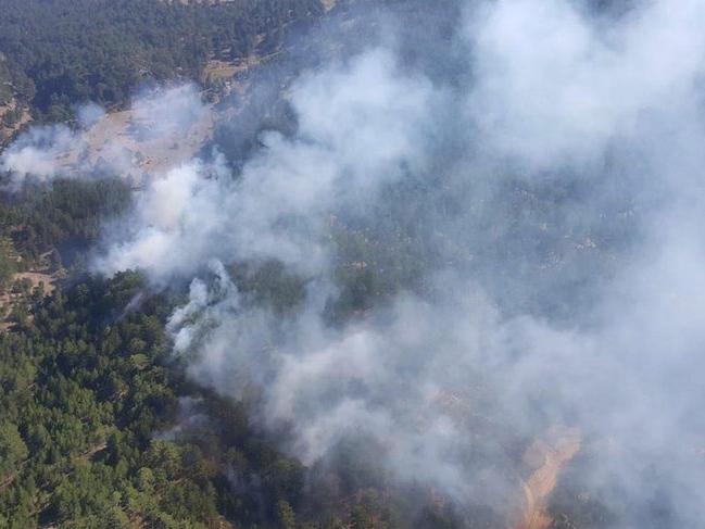 Denizli'de karaçam ormanında 6 farklı noktada yangın çıktı