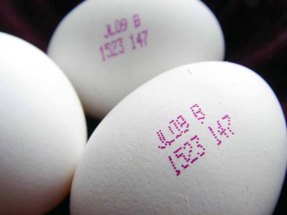 Yumurta üzerindeki kodlar ne anlama geliyor?