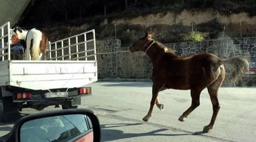 Görüntüler vatandaşları isyan ettirdi. DHA