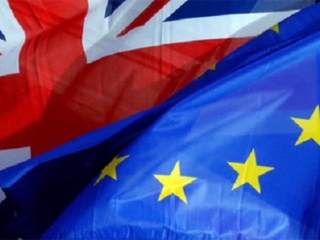 İngiliz kabinesinde 'Brexit' istifası