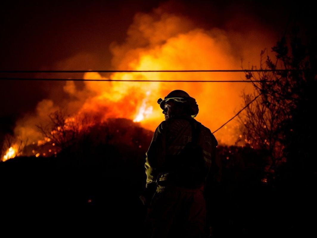 California'da yangının bilançosu ağırlaşıyor! Ölü sayısı 66'ya yükseldi