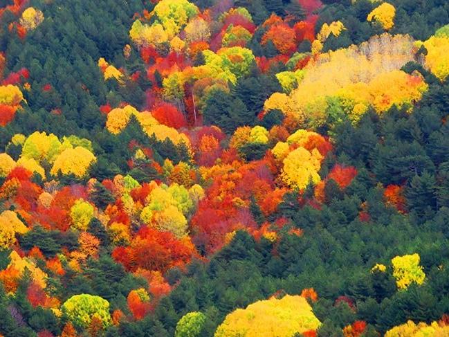 Kaz Dağları'nda sonbahar güzelliği
