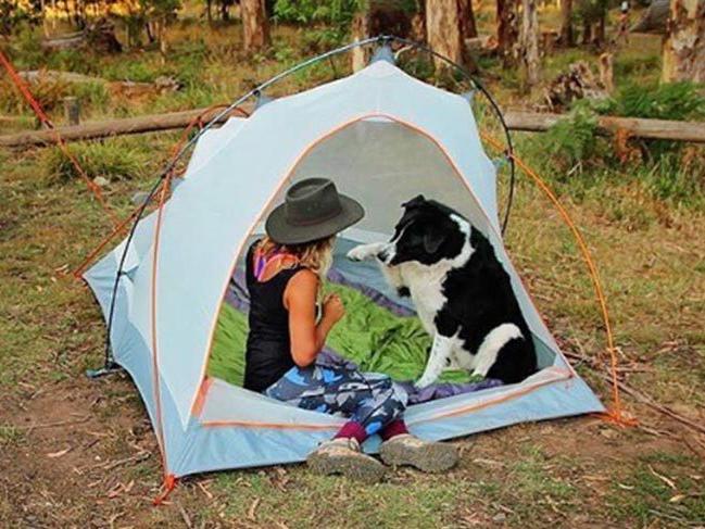 Seyahatin en güzel hali: Köpeklerle kamp