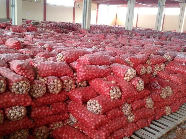Ankara'daki soğanlar yediemine teslim edildi