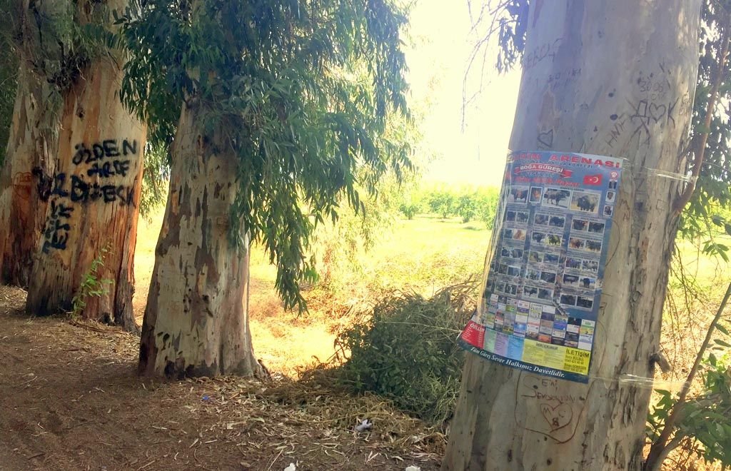 Foto: Mustafa Sarıipek- SÖZCÜ