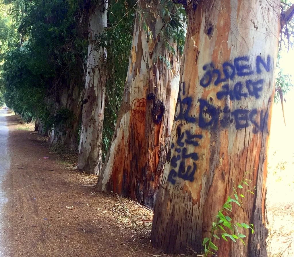 Foto: Mustafa Sarıipek- SÖZCÜ