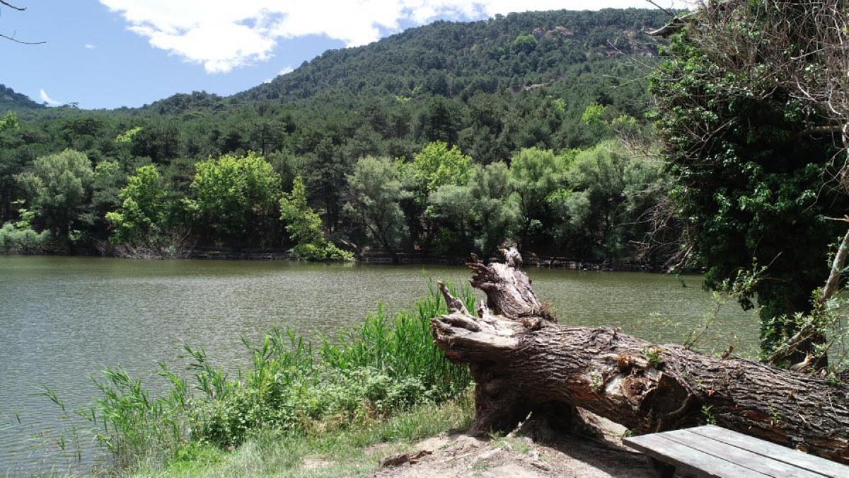 resimid_66503361_6650336