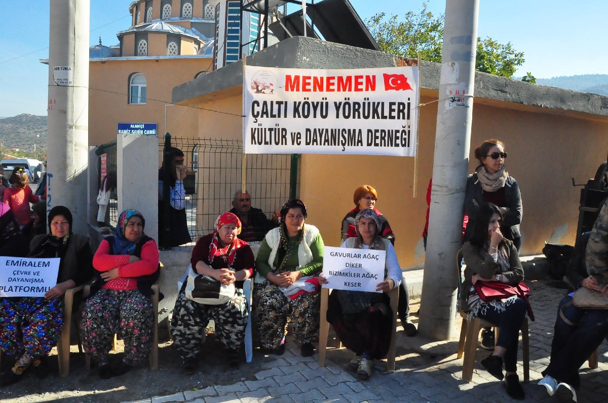 resimid_66503371_6650337