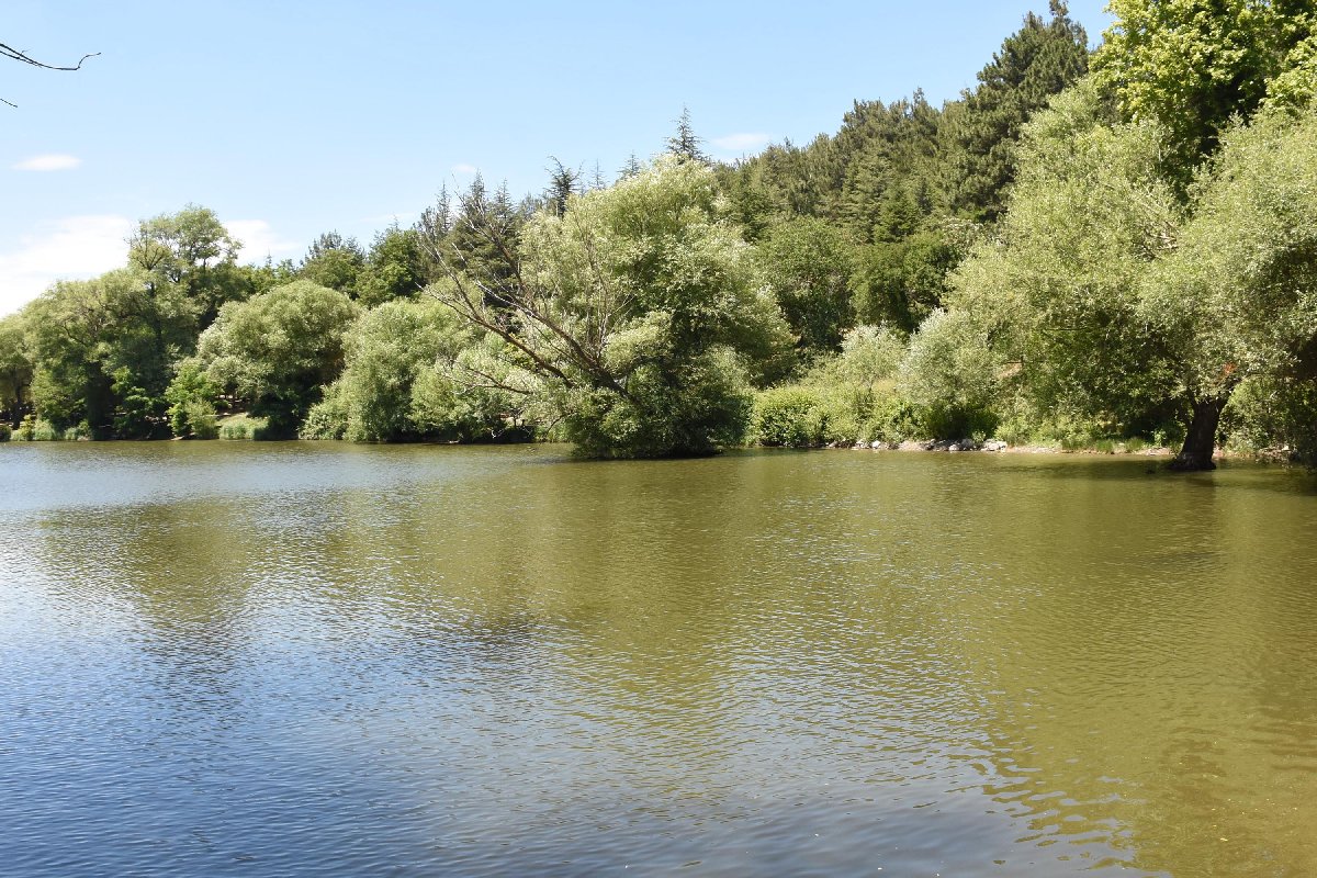 resimid_66503421_6650342