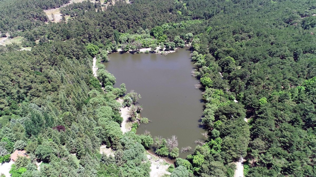 resimid_66503451_6650345