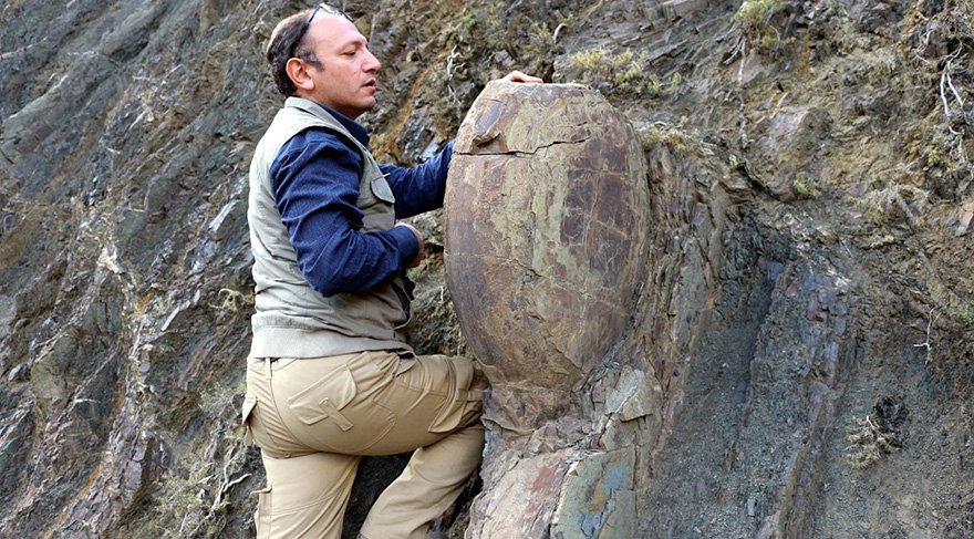 Dr. Koray Sönmez kaya üzerinde incelemelerde bulundu. Foto: DHA