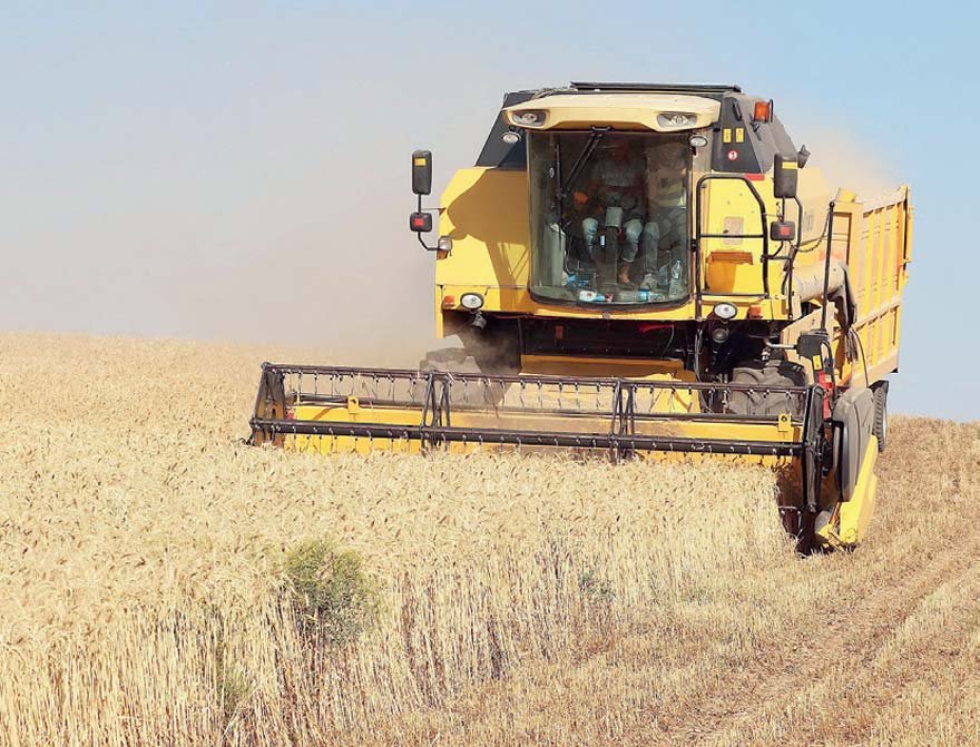 Başta yüzde 100 zamlanan DAP gübresi olmak üzere artan maliyetler yüzünden bu yıl buğday ekim alanlarının çoğu boş kaldı.