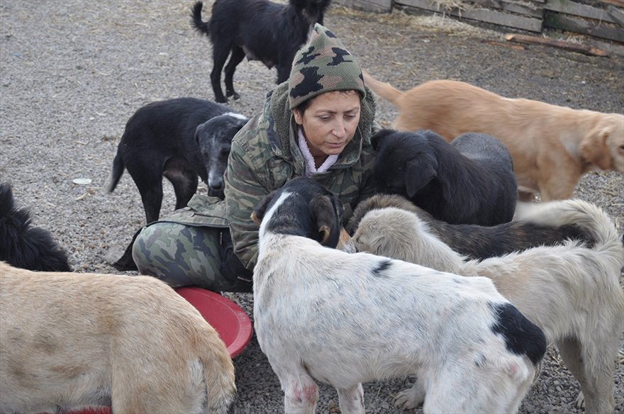 FOTO: AA- Bartın'da hayvansever Sevim Arkan sokak hayvanlarına yönelik şiddete tepki göstermek amacıyla 4 gündür açlık grevi yapıyor