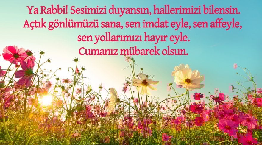 cuma3-shutterstock-1