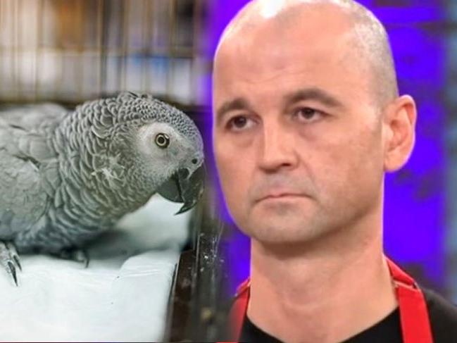 MasterChef Murat Özdemir'in işkence uyguladığı papağandan kötü haber geldi!