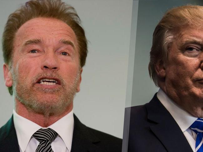 Arnold Schwarzenegger: Çatlak bir başkanımız var