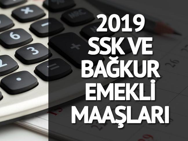 SSK ve Bağkur emeklileri zamlı maaşları! Emekli maaşı hesaplama ekranı: 2019 zamlı emekli maaşları kaç lira oldu?