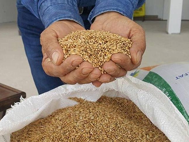 TMO 40 ihalede tonlarca buğday aldı