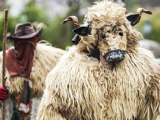 Binlerce yıllık Pagan karnavalında inek çanları başrolde