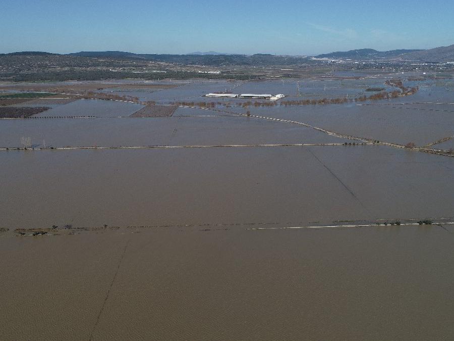 Yağmur ıspanağı vurdu, onlarca dönüm tarım arazisi sular altında