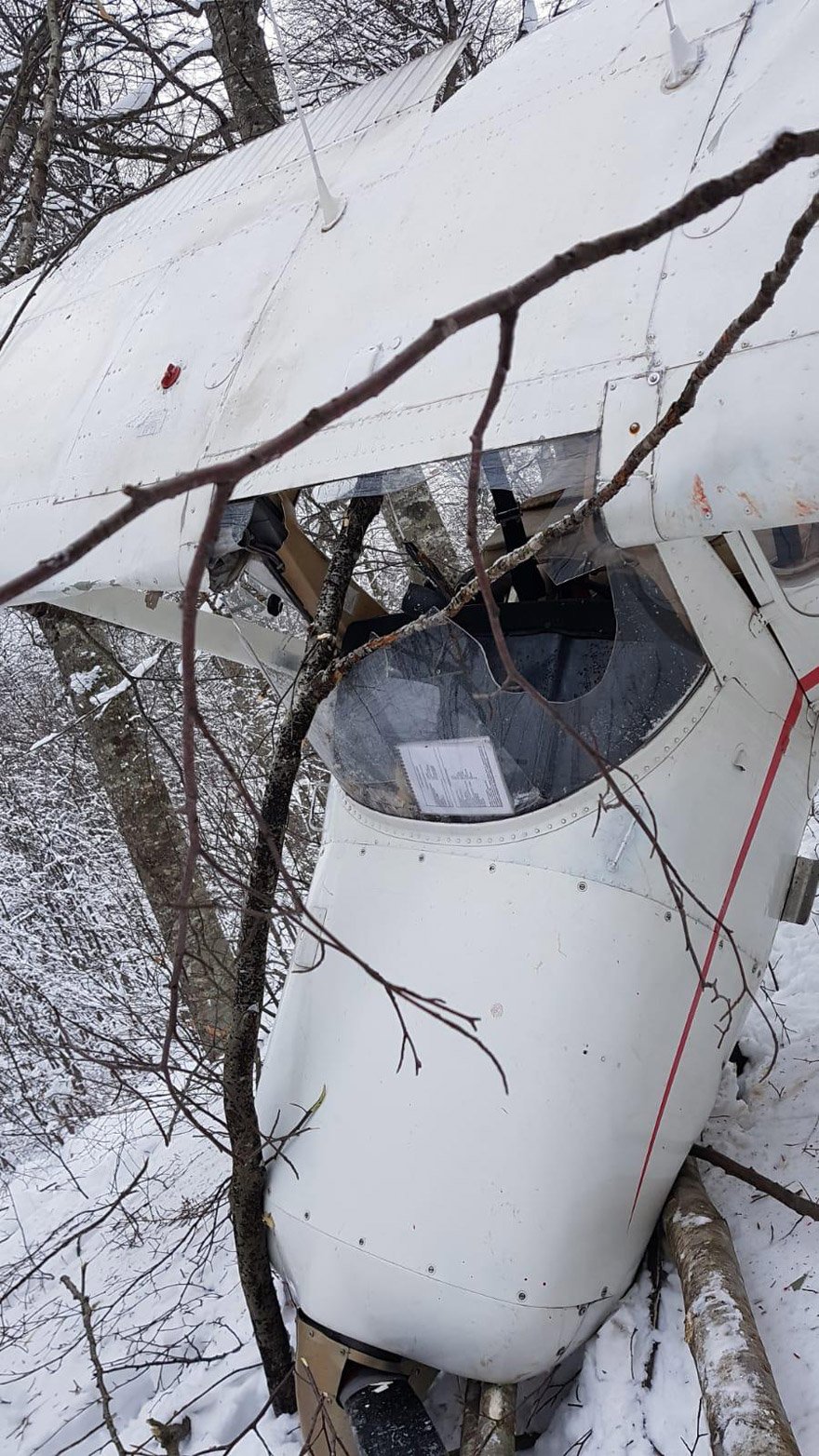 resimid_70627151_7062715