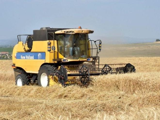 Kazakistan'ın Türkiye'ye tarım ürünleri ihracatı yüzde 44,6 arttı
