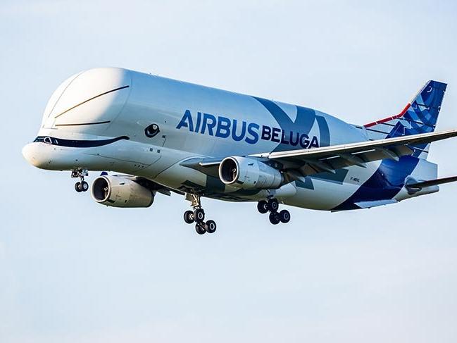Uçan Balina: Dev kargo uçağı Airbus Beluga XL deneme uçuşlarını tamamladı