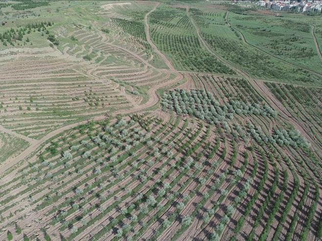 Atatürk Orman Çiftliği arazisinden 1 milyon metrekare daha imara açıldı