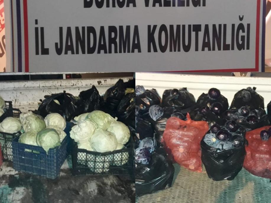 Bursa'da sebze hırsızlığı!